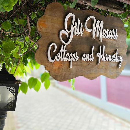 Gili Mesari Cottages & Homestay ギリ・トラワンガン エクステリア 写真