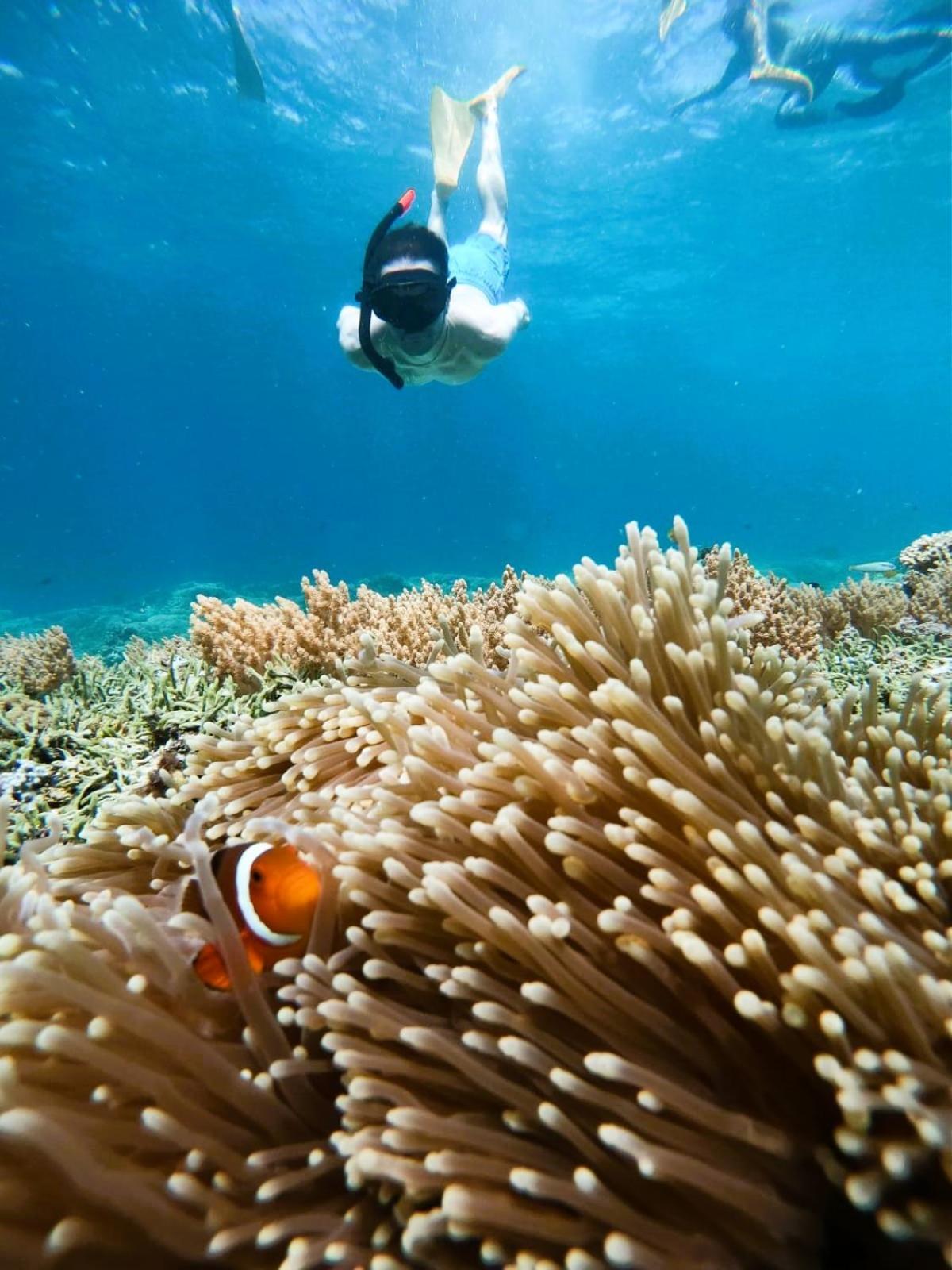 Gili Mesari Cottages & Homestay ギリ・トラワンガン エクステリア 写真