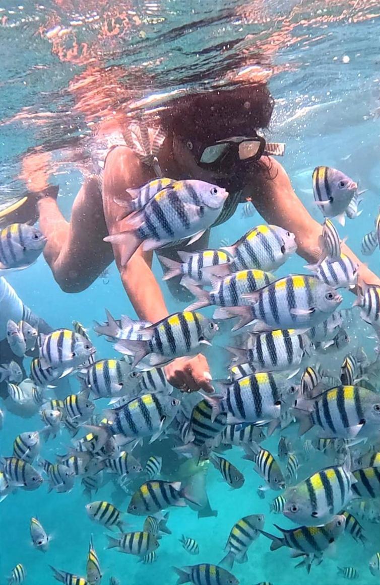 Gili Mesari Cottages & Homestay ギリ・トラワンガン エクステリア 写真