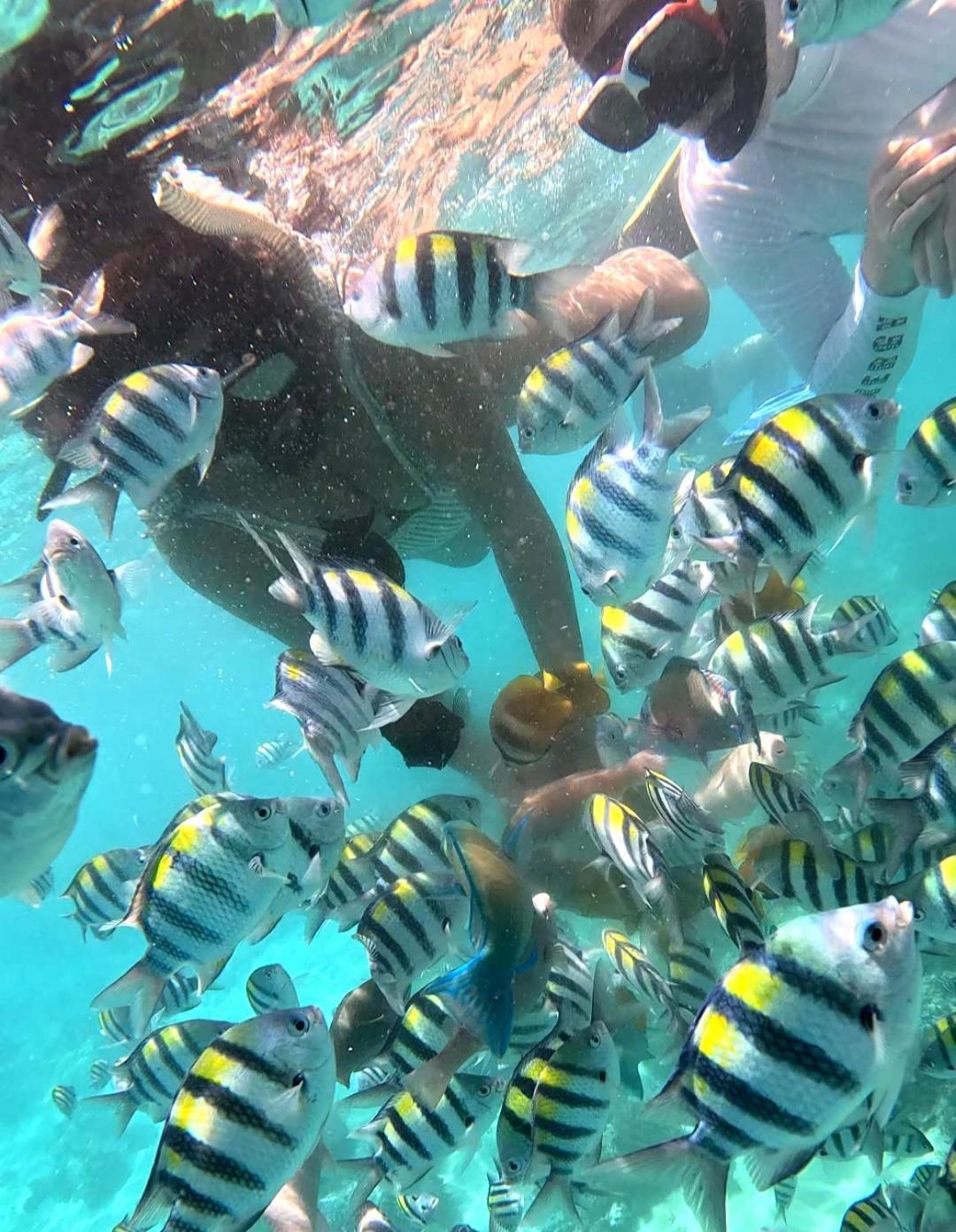Gili Mesari Cottages & Homestay ギリ・トラワンガン エクステリア 写真